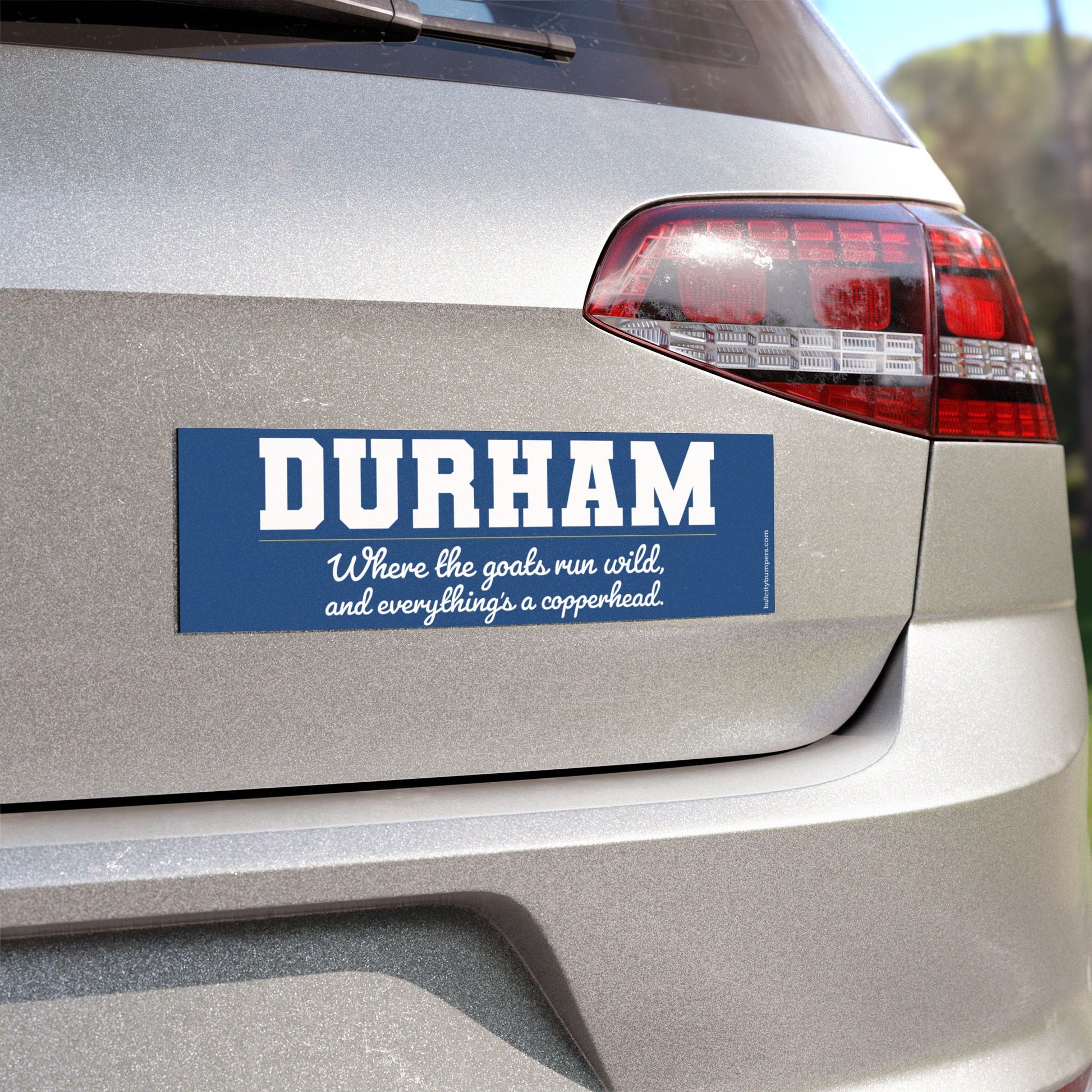 Magnets - Goats Run Wild