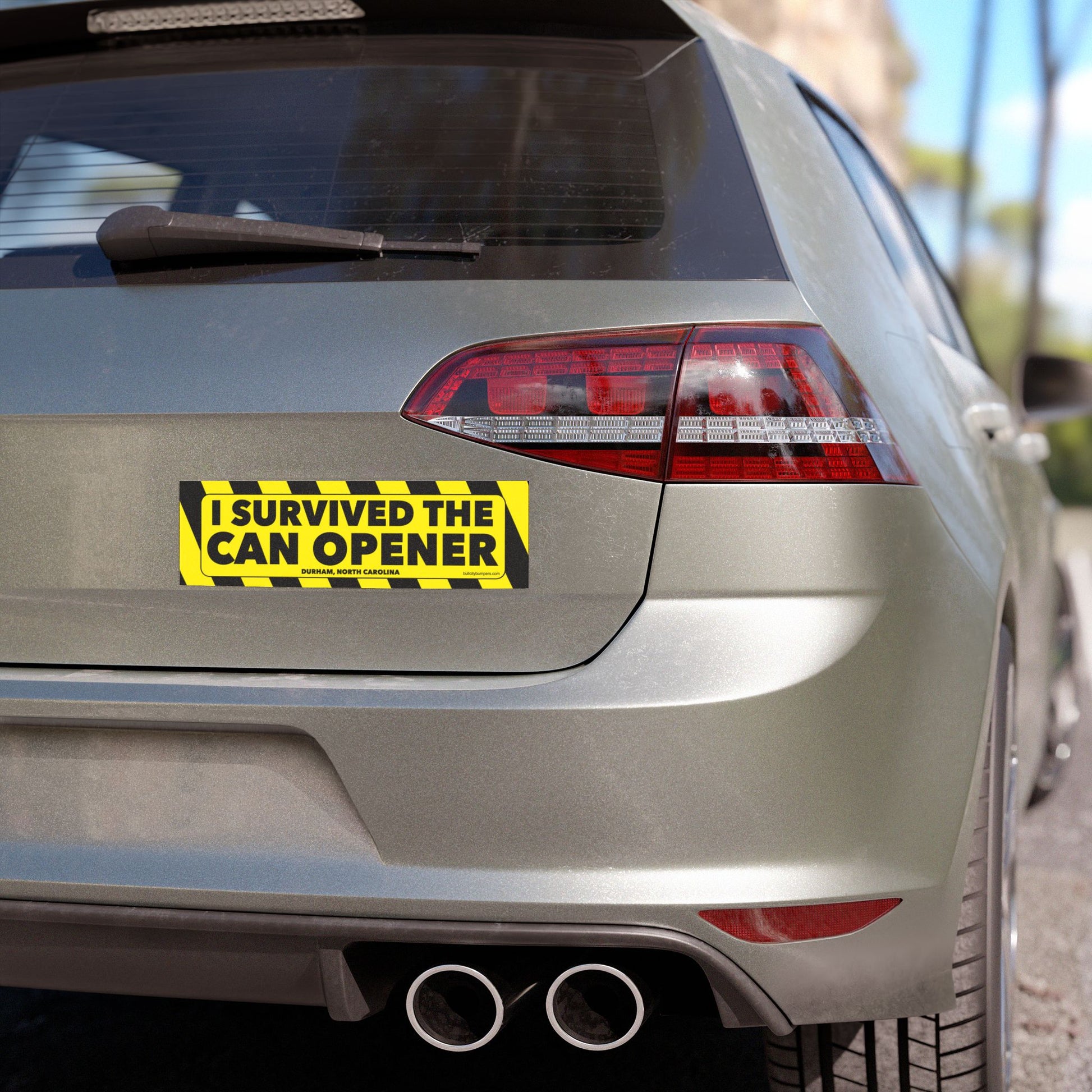 Magnets - I Survived the Can Opener